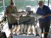 (08/26/2018) - Nice Striped Bass